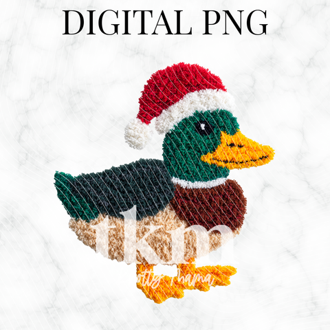 Plush Jolly Mallard Duck PNG