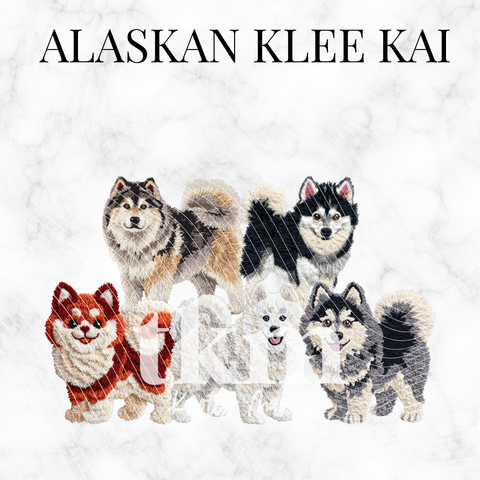 Alaskan Klee Kai PNG Bundle