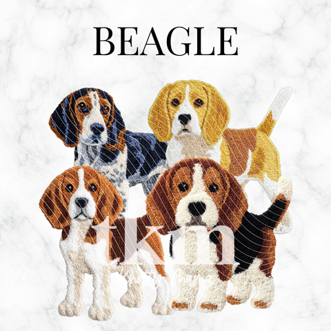 Beagle PNG Bundle