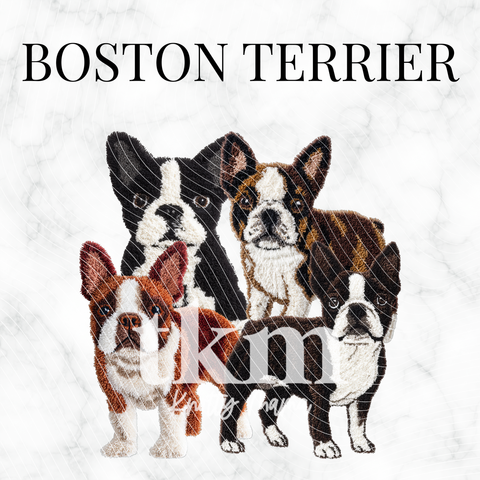 Boston Terrier PNG Bundle