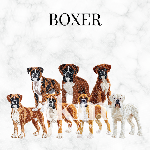 Boxer PNG Bundle
