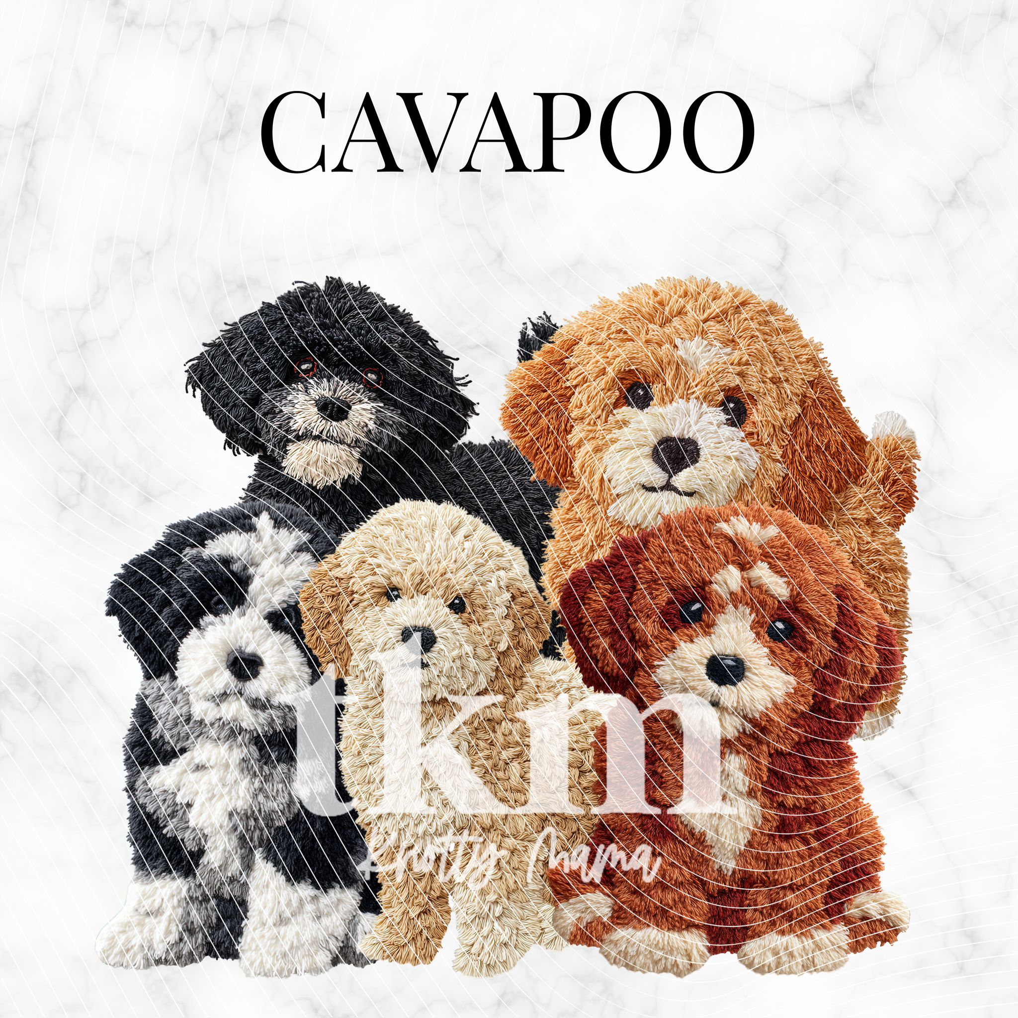 Cavapoo PNG Bundle