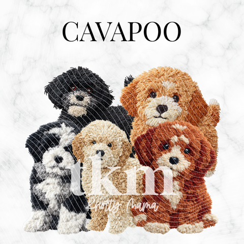 Cavapoo PNG Bundle
