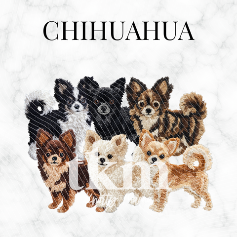 Chihuahua PNG Bundle