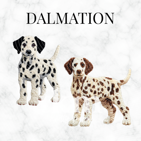 Dalmation PNG Bundle