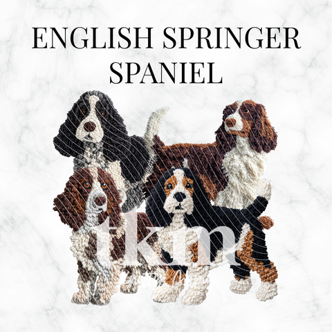 English Springer Spaniel PNG Bundle
