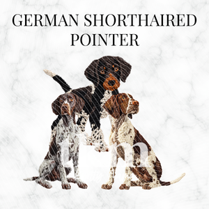 German Shorthaired Pointer PNG Bundle