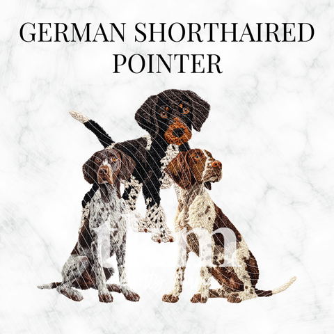 German Shorthaired Pointer PNG Bundle