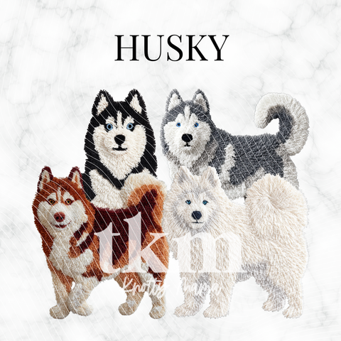 Husky PNG Bundle