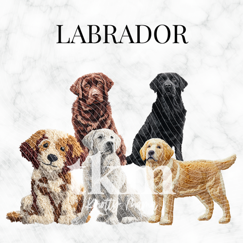 Labrador PNG Bundle