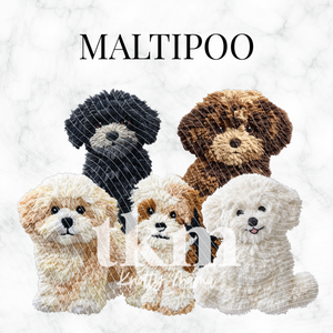 Maltipoo PNG Bundle