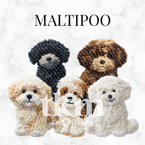 Maltipoo PNG Bundle