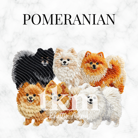 Pomeranian PNG Bundle