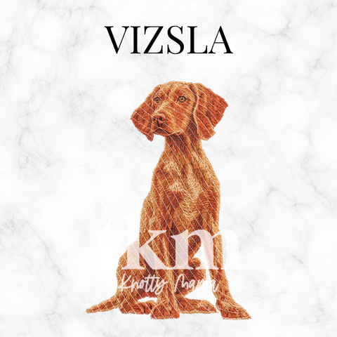 Vizsla PNG